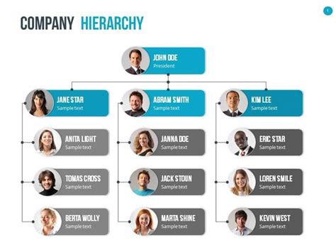 Org Chart Arrow Electronics .
